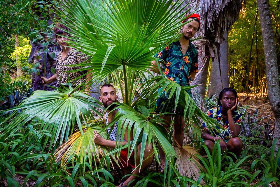 4 pessoas com roupas coloridas espreitam por trás de folhas de palmeira