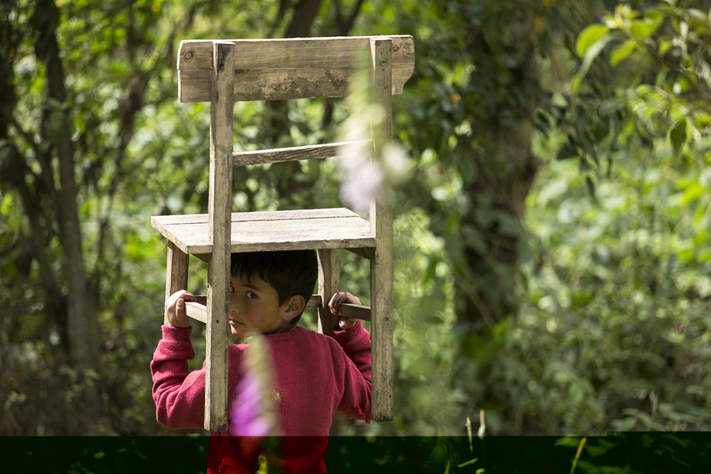 Criança segura uma cadeira de madeira acima da cabeça. À sua volta estão árvores e vegetação.