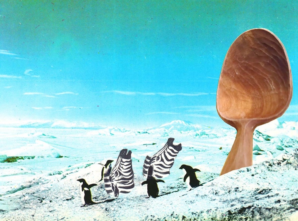 Ilustração realista com pinguins e cabeças de zebra num cenário de glaciar. No lado direito do observador ergue-se a partir do gelo metade de uma colher de pau gigante.